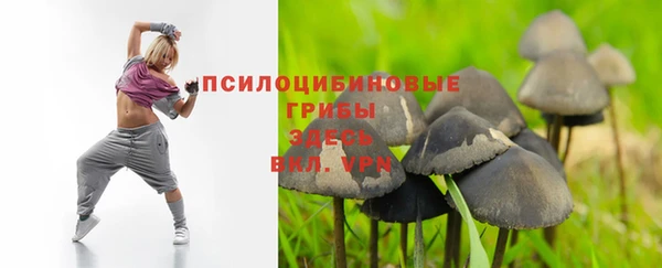 spice Протвино