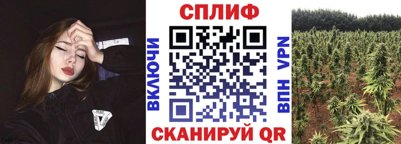 Каннабис план  Черепаново 